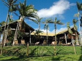 Jackaroo Treehouse Rainforest Retreat Hostel