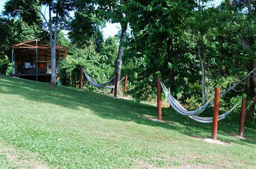 Jackaroo Treehouse Rainforest Retreat Hostel Mission Beach
