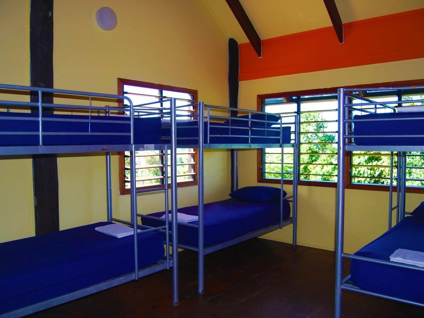Hostel Jackaroo Treehouse Rainforest Retreat