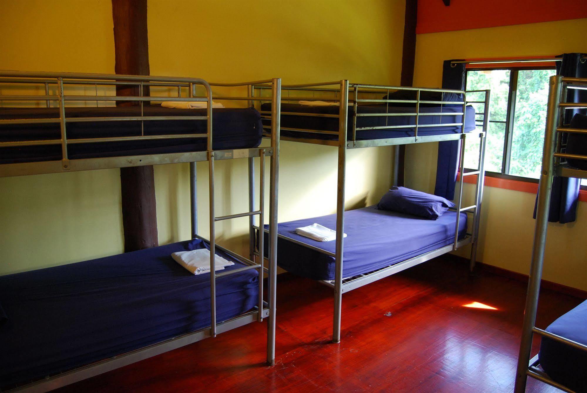 Jackaroo Treehouse Rainforest Retreat Hostel Mission Beach
