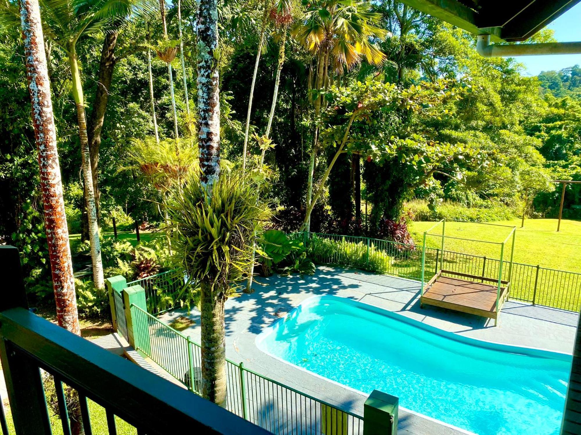 Jackaroo Treehouse Rainforest Retreat Hostel *