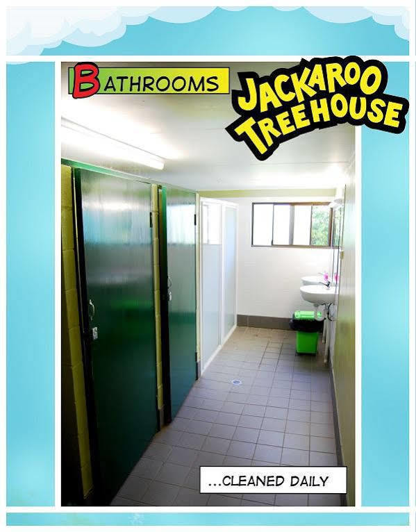 Jackaroo Treehouse Rainforest Retreat Hostel Mission Beach